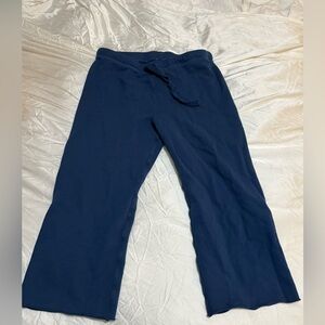 Frank & Eileen Deep Blue Cropped Pants Size L Large